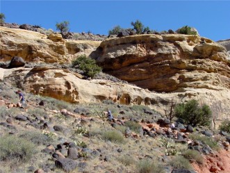 Guided Tour in Capitol Reef
