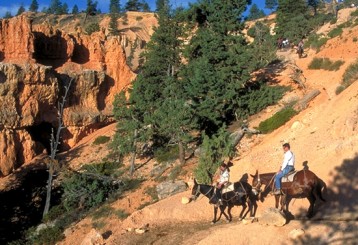 Horseback riding in Canyonlands
