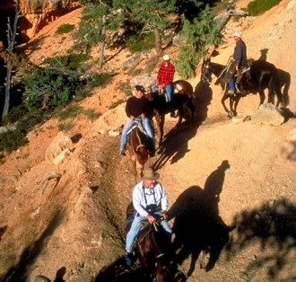Horseback Riding near Grand Canyon