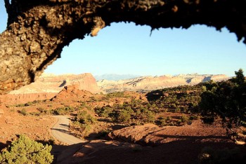 Hiking in Capitol Reef: Lower Muley Twist Canyon