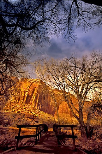 capitol reef national park lodging | capitol reef national park | capital reefs national park lodging