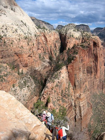 Zion Guided Tours