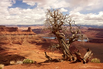 Hiking in the Canyonlands