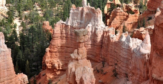 Thor's Hammer Hoodoo in Bryce Canyon National Park
